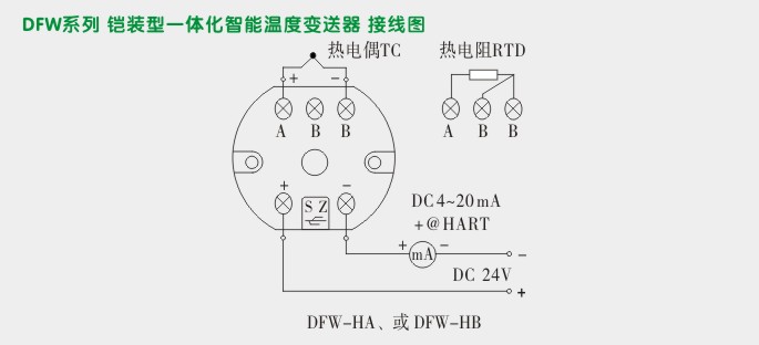 一体化温度变送器,DFW智能温度变送器接线图